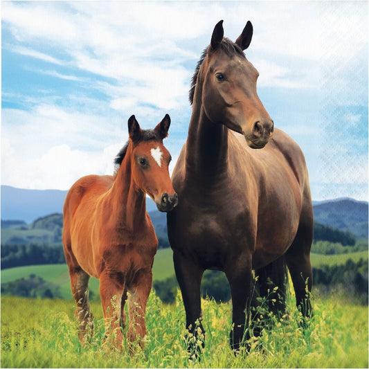 Horse And Pony Napkin (L) 16ct