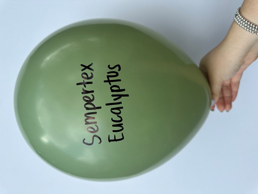 11 inch Sempertex Deluxe Eucalyptus Latex Balloons 100ct