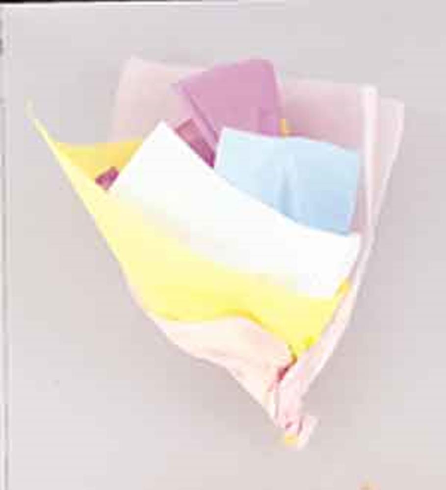 Tissue Sheet Pastel Assrtd 10ct