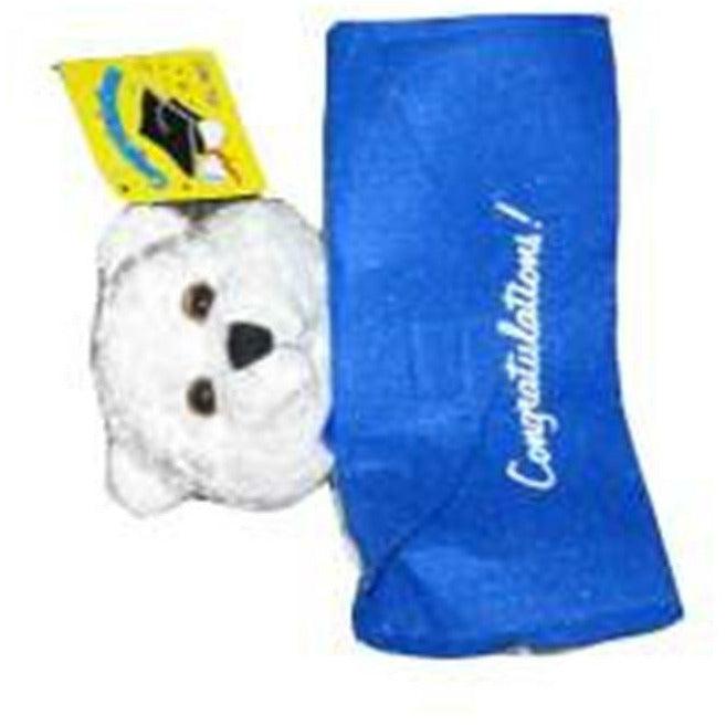 Bear W Money Holder 7in 2 Color - Toy World Inc