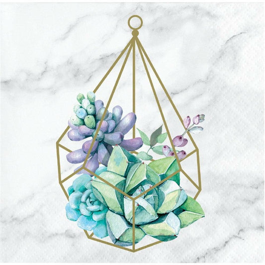 Geometric Succulents Beverage Napkin 16Ct - Toy World Inc