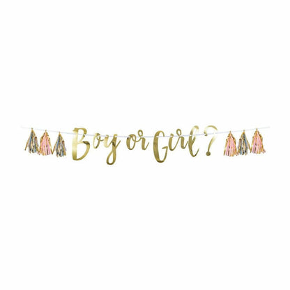 Pink Blue And Gold Boy Or Girl Tassel Banner 1Ct - Toy World Inc
