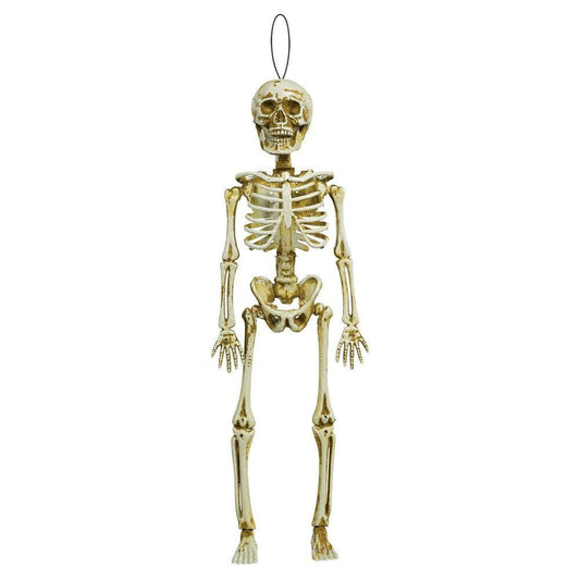 Skeleton Natural Bone Hanging - Toy World Inc